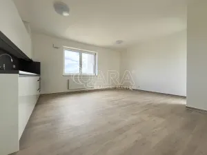 Pronájem bytu 3+kk, Brno - Ponava, Střední, 75 m2