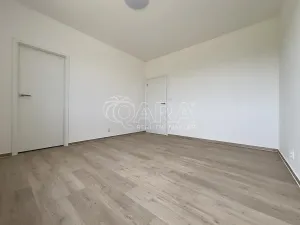 Pronájem bytu 3+kk, Brno - Ponava, Střední, 75 m2