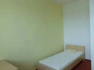 Pronájem pokoje, Brno, Vídeňská, 30 m2