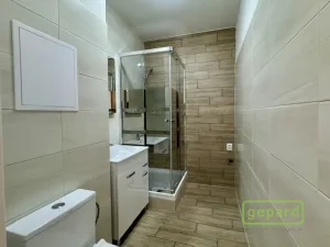 Pronájem bytu 2+1, Veselí nad Lužnicí, K Zastávce, 55 m2