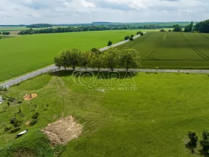 Prodej pozemku pro bydlení, Bukvice, 1400 m2