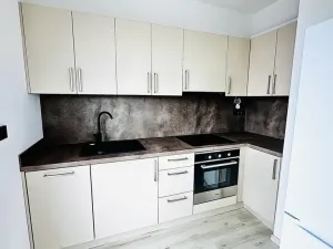 Pronájem bytu 1+kk, Plzeň, Pilařská, 40 m2