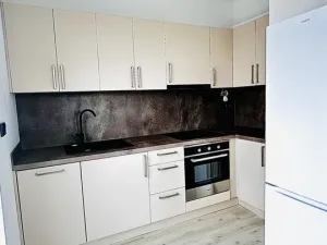 Pronájem bytu 1+kk, Plzeň, Pilařská, 40 m2