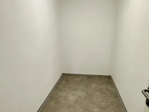 Pronájem bytu 1+kk, Plzeň, Pilařská, 40 m2