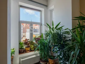 Prodej bytu 3+kk, Opava - Město, U Jaktařské brány, 134 m2