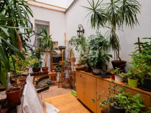 Prodej bytu 3+kk, Opava - Město, U Jaktařské brány, 134 m2
