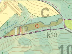 Prodej lesa, Bradlecká Lhota, 5202 m2