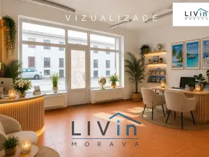 Pronájem obchodního prostoru, Olomouc, Smrčkova, 32 m2