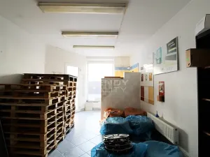 Prodej činžovního domu, Plzeň, Pod Všemi svatými, 450 m2