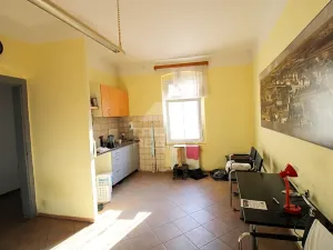 Prodej činžovního domu, Plzeň, Pod Všemi svatými, 450 m2