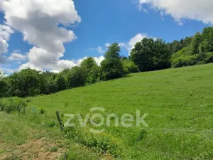 Prodej pozemku pro bydlení, Vsetín, Dolní Jasenka, 2813 m2