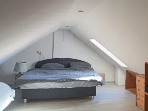 Pronájem rodinného domu, Tachov, Pivovarská, 180 m2