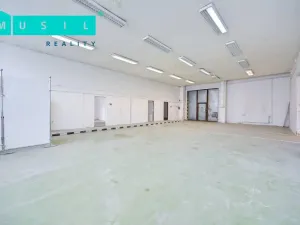 Pronájem komerční nemovitosti, Olomouc - Nové Sady, Werichova, 542 m2
