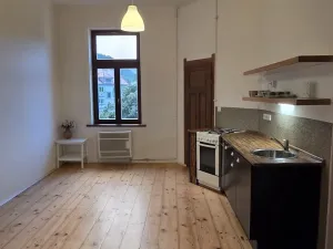 Pronájem bytu 1+1, Ústí nad Labem - Střekov, Žukovova, 49 m2