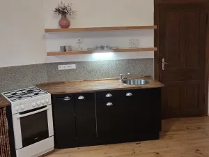 Pronájem bytu 1+1, Ústí nad Labem - Střekov, Žukovova, 49 m2