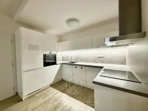 Pronájem bytu 2+kk, Plzeň, Halštatská, 54 m2