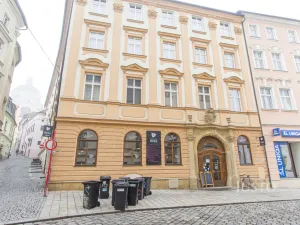 Pronájem bytu 2+1, Olomouc, Michalská, 71 m2