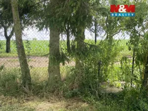 Prodej zahrady, Dobruška, Doly, 580 m2