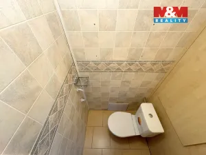 Pronájem bytu 2+1, Litoměřice - Předměstí, Družstevní, 53 m2