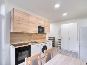 Pronájem bytu 1+1, Moravská Ostrava, Sokolská třída, 43 m2