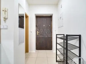 Pronájem bytu 1+1, Moravská Ostrava, Sokolská třída, 43 m2