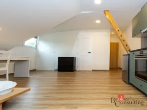 Prodej bytu 4+kk, Žďár nad Sázavou - Žďár nad Sázavou 5, Vysocká, 154 m2