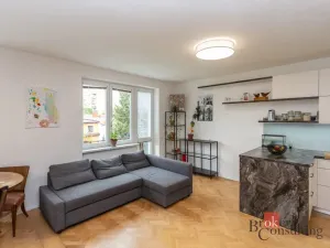 Prodej atypického bytu, Žďár nad Sázavou - Žďár nad Sázavou 5, Vysocká, 154 m2