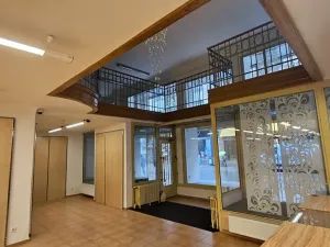 Pronájem obchodního prostoru, Brno, Masarykova, 504 m2
