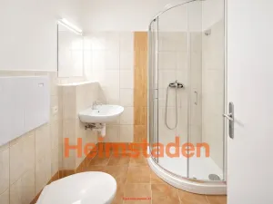 Pronájem bytu 1+kk, Havířov - Město, Hlavní třída, 20 m2