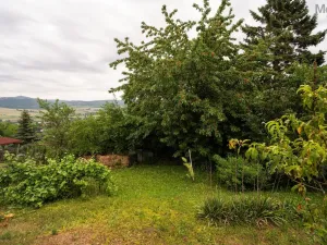 Prodej chaty, Prackovice nad Labem, 40 m2