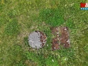 Prodej pole, Ostrov u Bezdružic - Krsov, 101002 m2