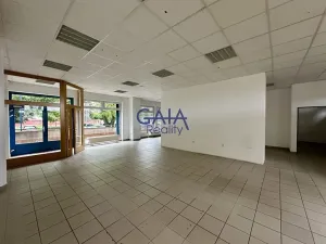 Pronájem obchodního prostoru, Kyjov, Kollárova, 226 m2