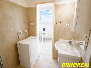 Pronájem bytu 1+kk, Brno, Vodní, 20 m2