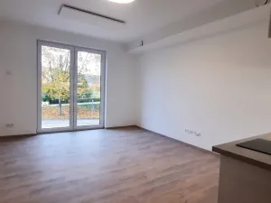 Pronájem bytu 1+kk, Brno, Kytnerova, 34 m2