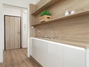 Pronájem bytu 1+1, Ostrava - Výškovice, Na Výspě, 38 m2