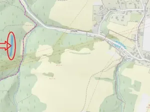 Prodej lesa, Nemile, 3224 m2