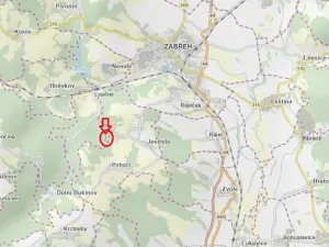 Prodej lesa, Nemile, 3224 m2