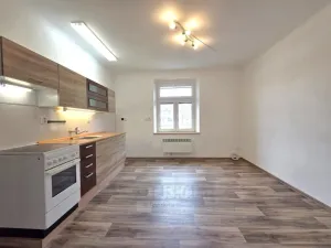 Pronájem bytu 1+1, České Budějovice - České Budějovice 3, Pekárenská, 51 m2