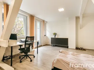 Pronájem bytu 1+kk, Brno - Pisárky, Hlinky, 30 m2