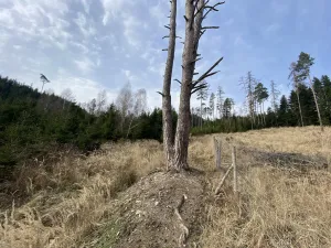 Prodej pozemku, Městečko Trnávka - Lázy, 384 m2