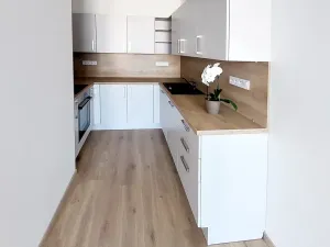 Pronájem bytu 3+kk, Brno, U Červeného mlýna, 97 m2