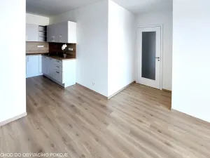 Pronájem bytu 3+kk, Brno, U Červeného mlýna, 97 m2