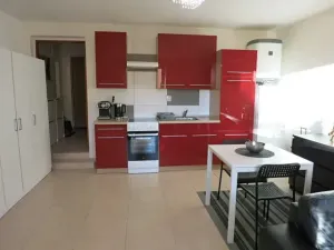 Pronájem bytu 1+kk, Samotišky, 40 m2