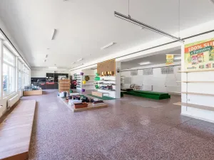 Prodej obchodního prostoru, Drnholec, nám. Svobody, 484 m2