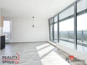 Pronájem bytu 2+kk, Plzeň - Jižní Předměstí, Stehlíkova, 62 m2