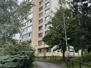 Prodej bytu 1+kk, Ostrava - Moravská Ostrava, Lechowiczova, 27 m2
