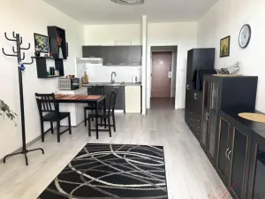 Prodej bytu 1+kk, Ostrava - Moravská Ostrava, Lechowiczova, 27 m2