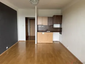 Prodej bytu 1+kk, Ostrava - Moravská Ostrava, Hornopolní, 27 m2