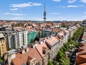 Prodej bytu 3+kk, Praha - Vinohrady, Mánesova, 90 m2