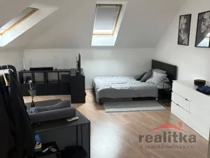 Pronájem bytu 1+kk, Opava - Předměstí, Na Rybníčku, 50 m2